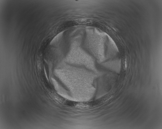 X0000082990515200702230103