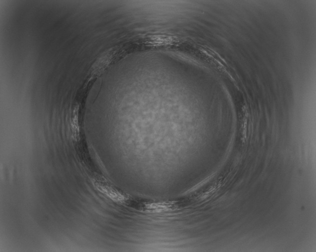 X0000082990516200702230103