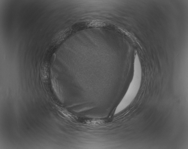 X0000082990517200702230103