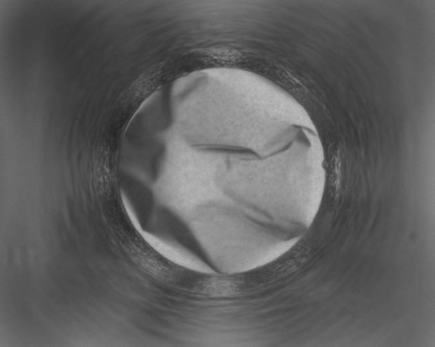 X0000082990518200702230103