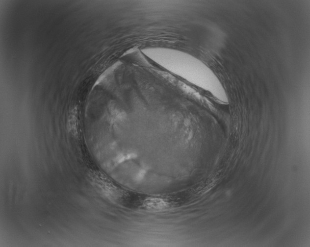 X0000082990519200702230103