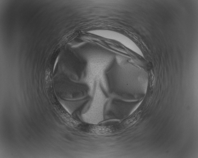 X0000082990521200702230103