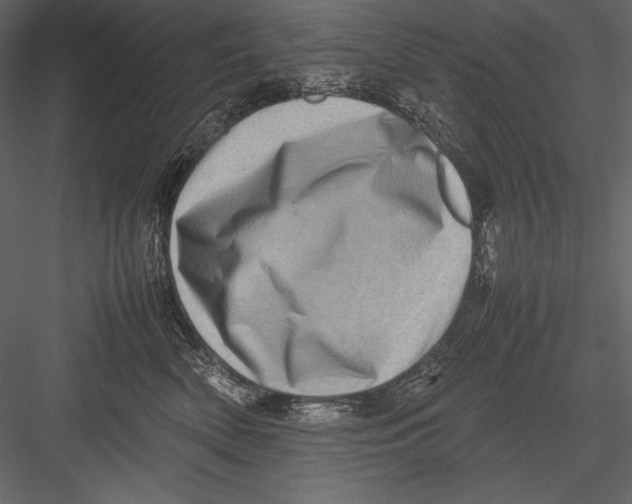 X0000082990522200702230103