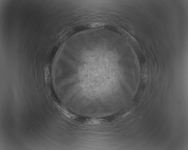 X0000082990523200702230103