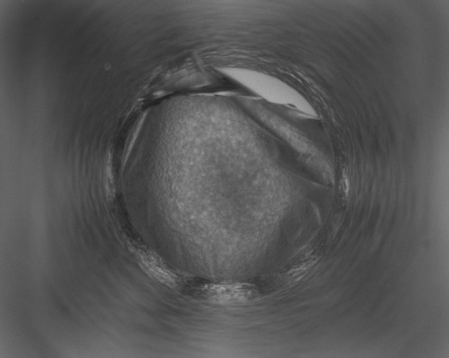 X0000082990524200702230103