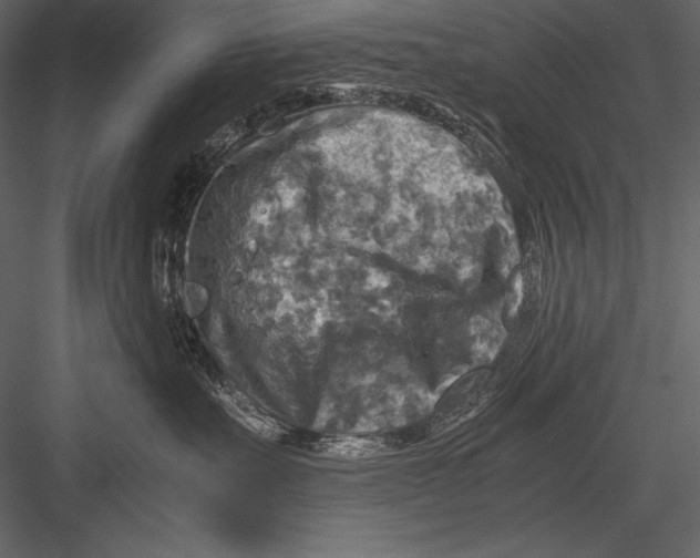 X0000082990527200702230103