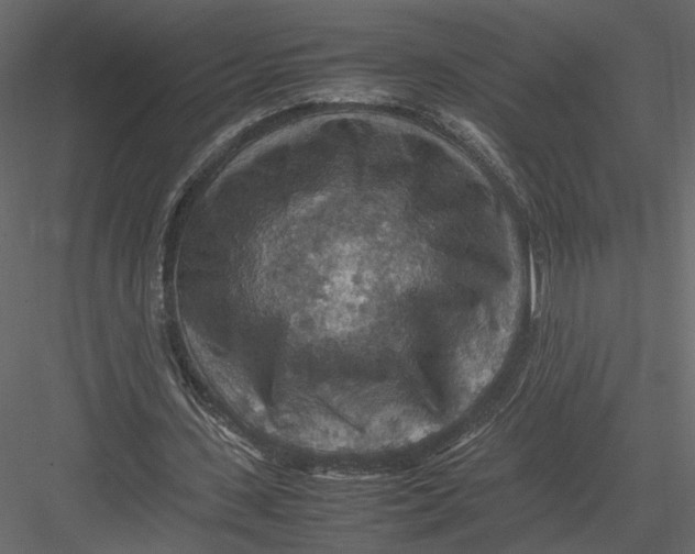 X0000082990531200702230102