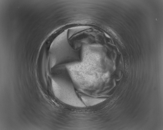 X0000082990532200702230102