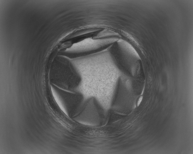 X0000082990535200702230103