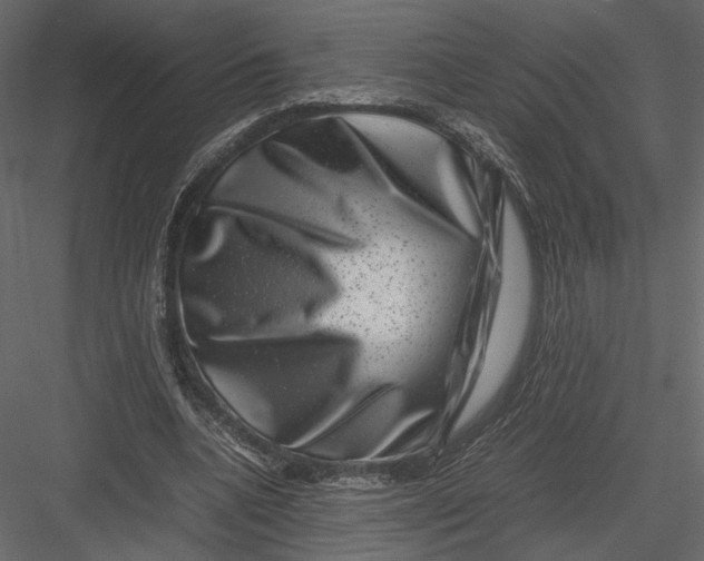 X0000082990536200702230103