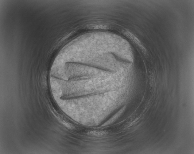 X0000082990537200702230103