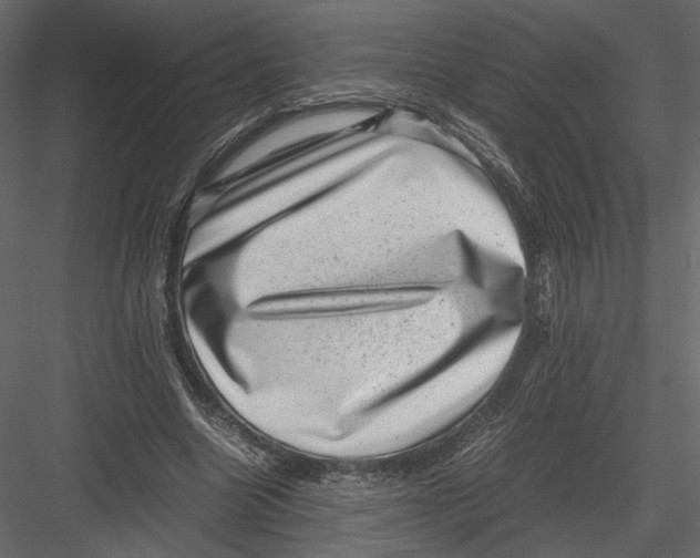 X0000082990538200702230103