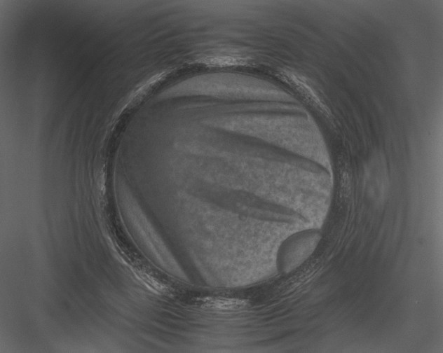 X0000082990539200702230103