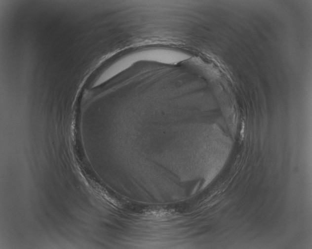 X0000082990540200702230103