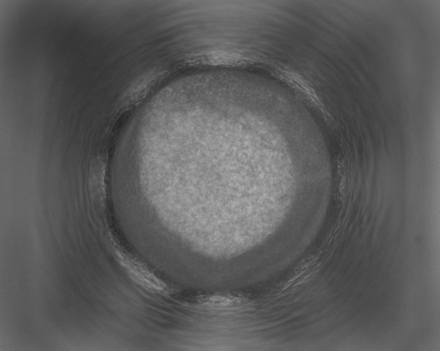 X0000082990542200702230103