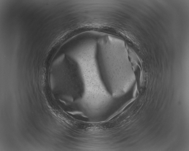 X0000082990544200702230103