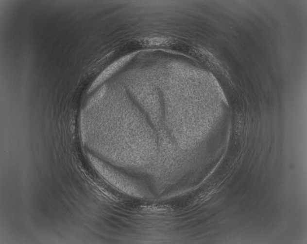 X0000082990545200702230103