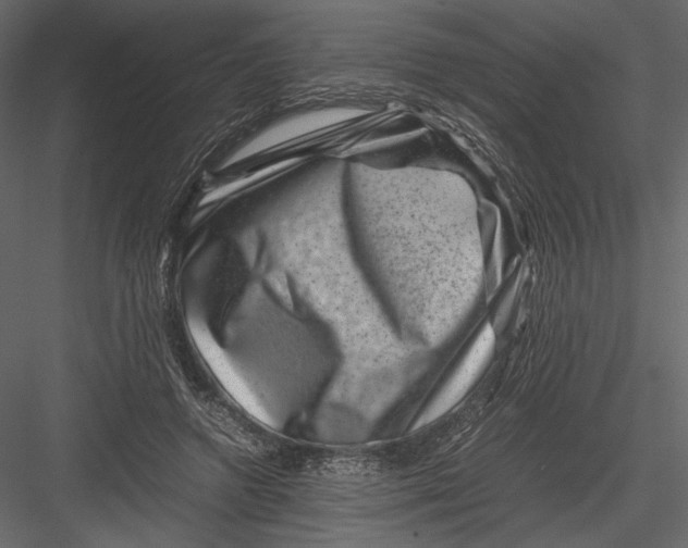 X0000082990546200702230103