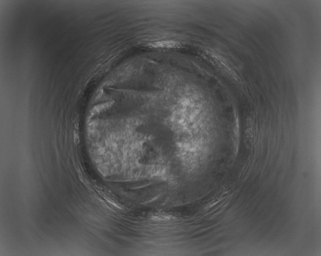 X0000082990547200702230103