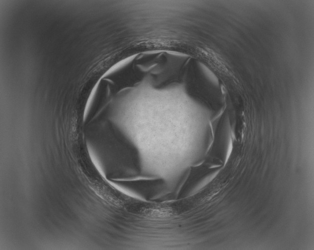 X0000082990548200702230103