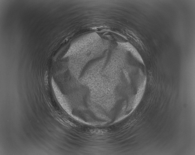 X0000082990549200702230103