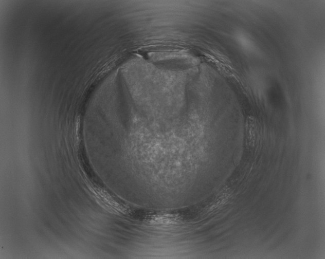 X0000082990550200702230103