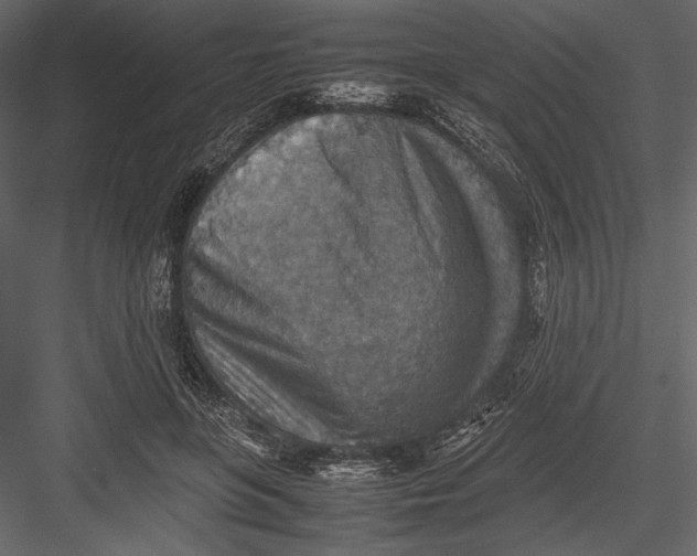 X0000082990551200702230103