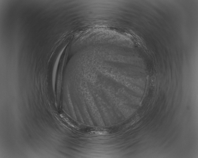 X0000082990552200702230103