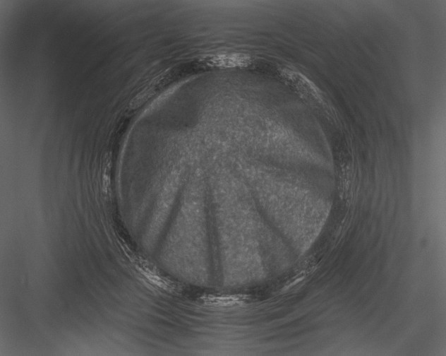 X0000082990553200702230103