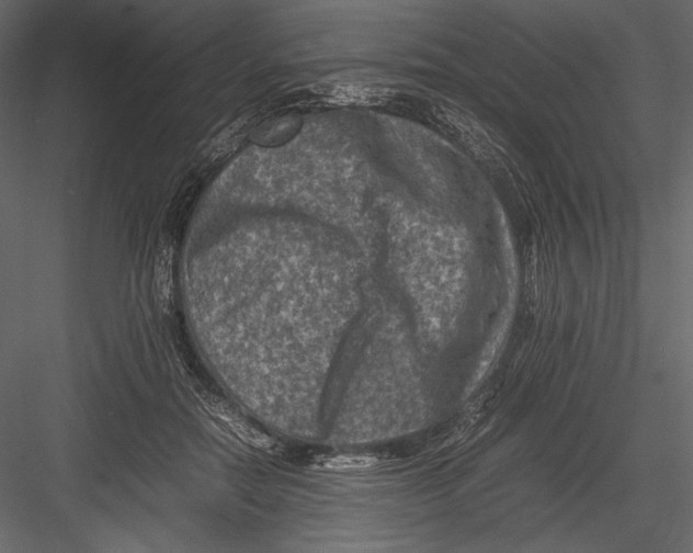 X0000082990554200702230103