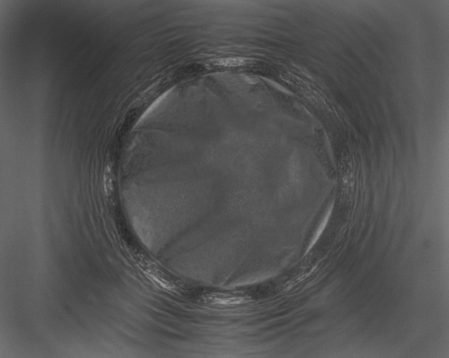 X0000082990555200702230103