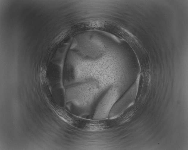 X0000082990556200702230103