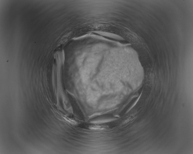 X0000082990558200702230103