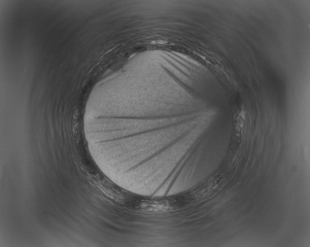 X0000082990559200702230103