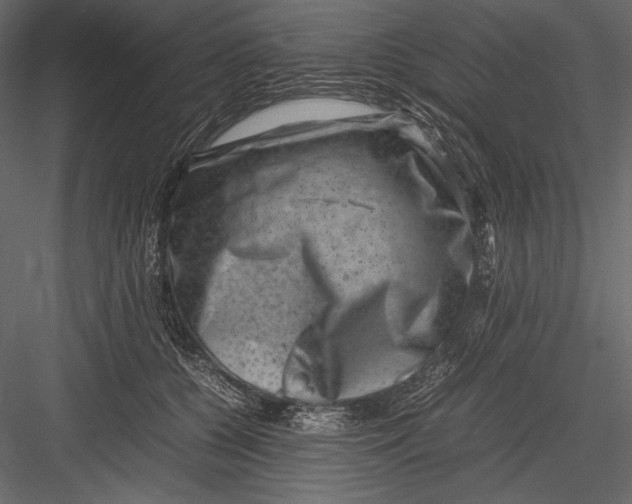 X0000082990560200702230103