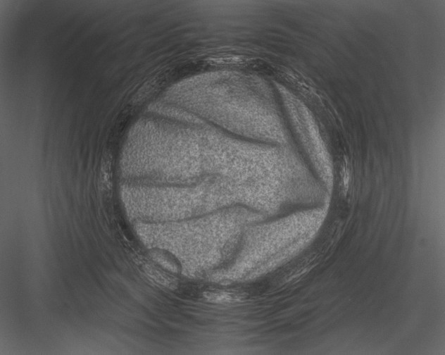 X0000082990561200702230103