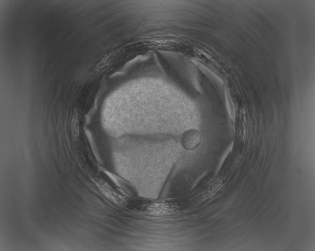 X0000082990562200702230103