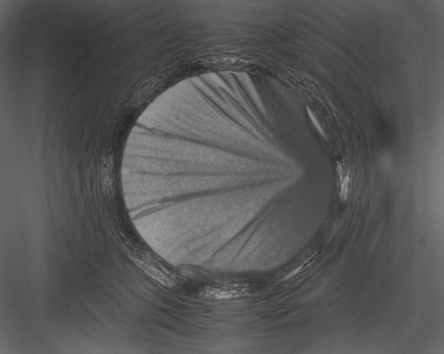 X0000082990563200702230103