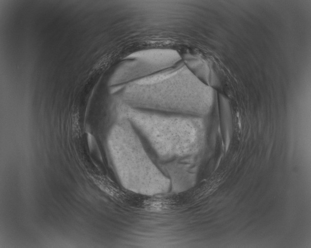 X0000082990564200702230103