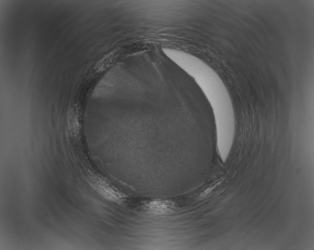 X0000082990566200702230103