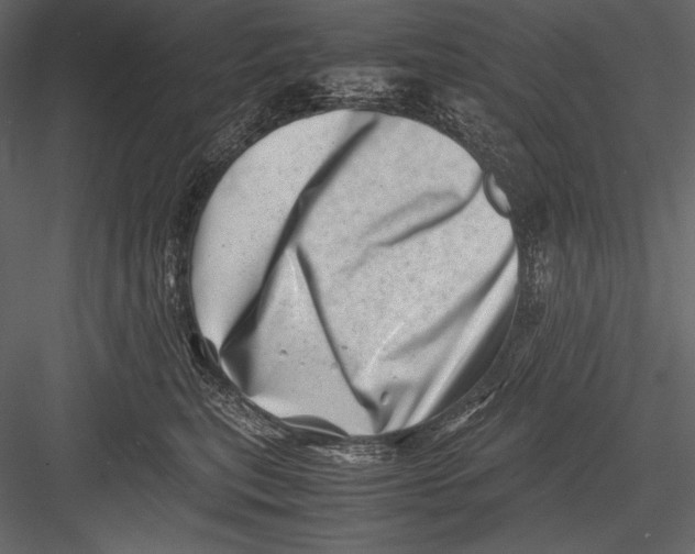 X0000082990567200702230103