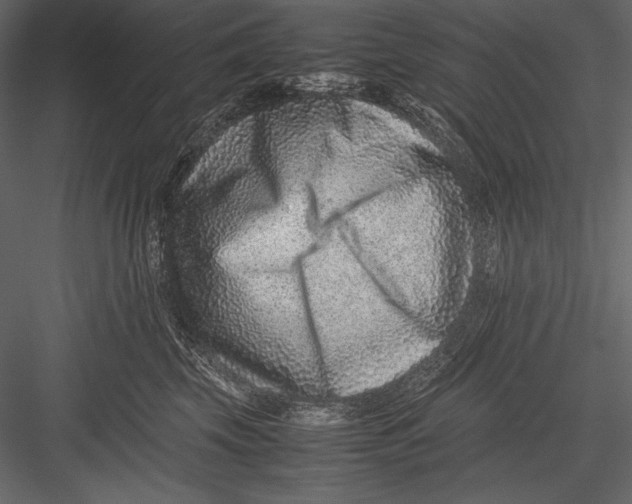 X0000082990569200702230103