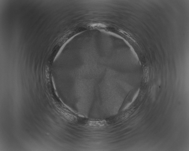 X0000082990571200702230103