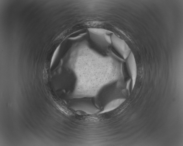 X0000082990572200702230103