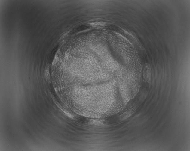 X0000082990573200702230103