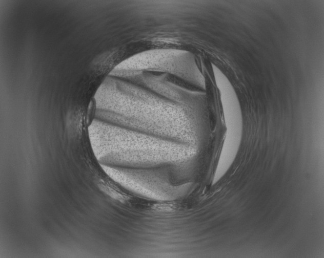 X0000082990574200702230103