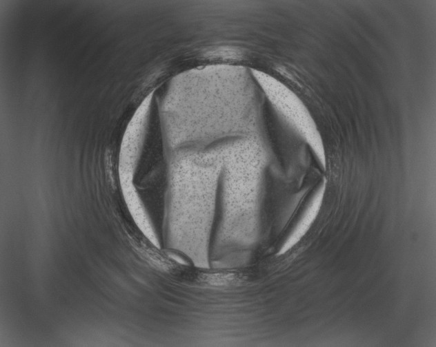 X0000082990575200702230103