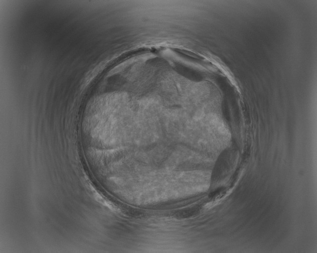 X0000082990577200702230102