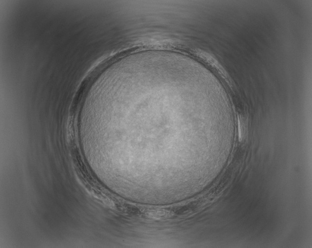 X0000082990579200702230102