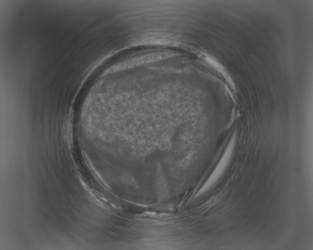 X0000082990580200702230102